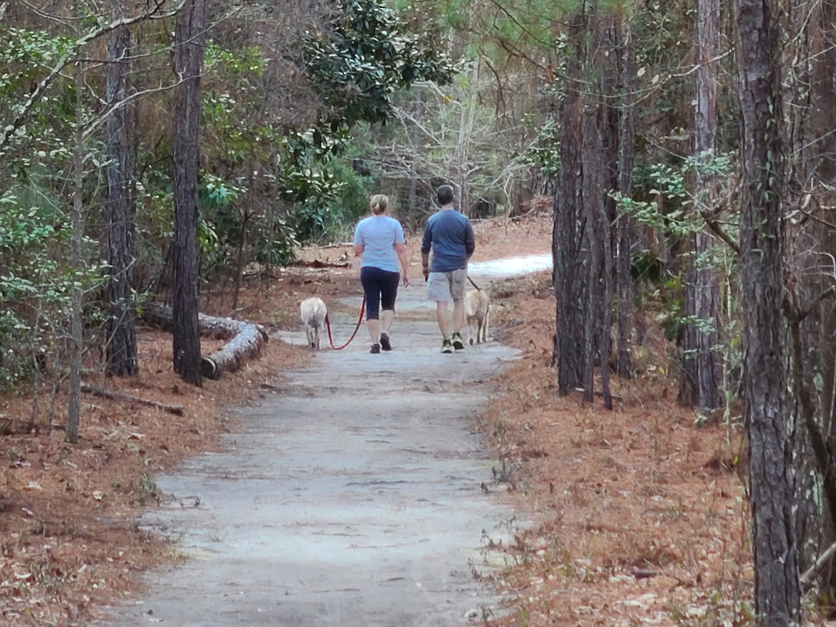 GoodalewithDogs A Husband and wife wallking their dogs side by side on a clear path at Goodale state park nature trail