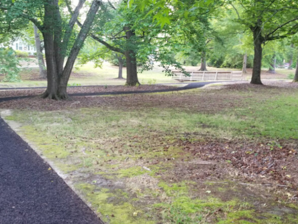 KendallPark Black rubber path widing around trees passing a bridge in the background
