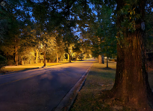 Night Photo of A Camden Tree LIned Street with Trees Backlit with Lights