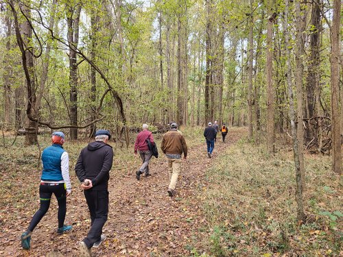 educational-walk-in-woods People Walking In the Forest At Clemson Lloyd Property